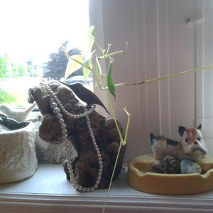 Meet your Posher, Judy